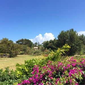 Meet your Posher, Elly